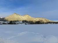 Goldene Berge am Wiesenweg